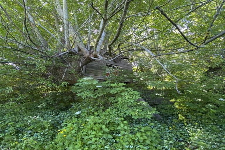 Photo of property in 3 Lyne Street, Nightcaps, 9630