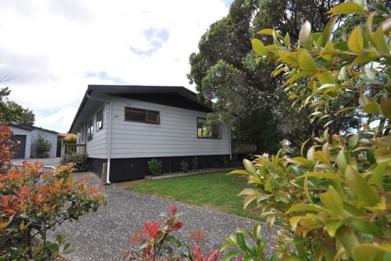Photo of property in 196 Pauanui Boulevard, Pauanui, Hikuai, 3579