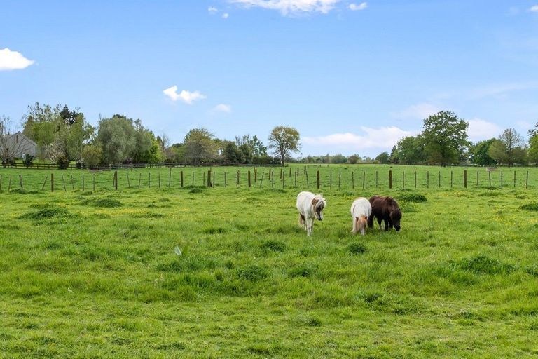 Photo of property in 265 Pencarrow Road, Tamahere, Hamilton, 3283