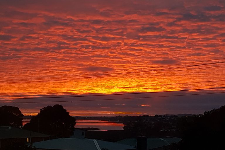 Photo of property in 11a Simmonds Grove, Greerton, Tauranga, 3112