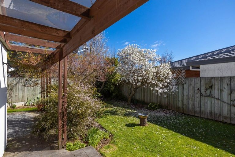 Photo of property in 7 Lewis Street, Redwoodtown, Blenheim, 7201