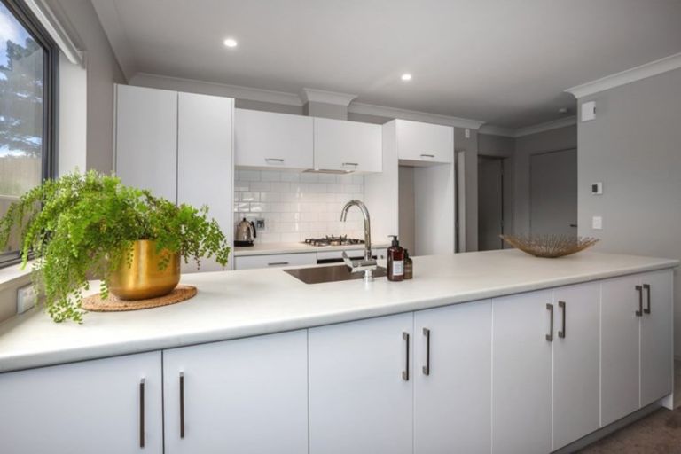 Photo of property in 18 Brindle Way, Newlands, Wellington, 6037