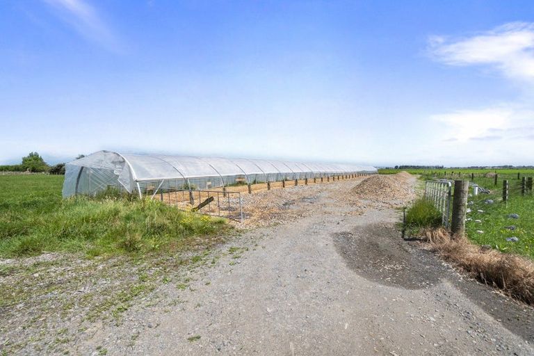 Photo of property in 145 Campbells Road, Pine Hill, Dunedin, 9010