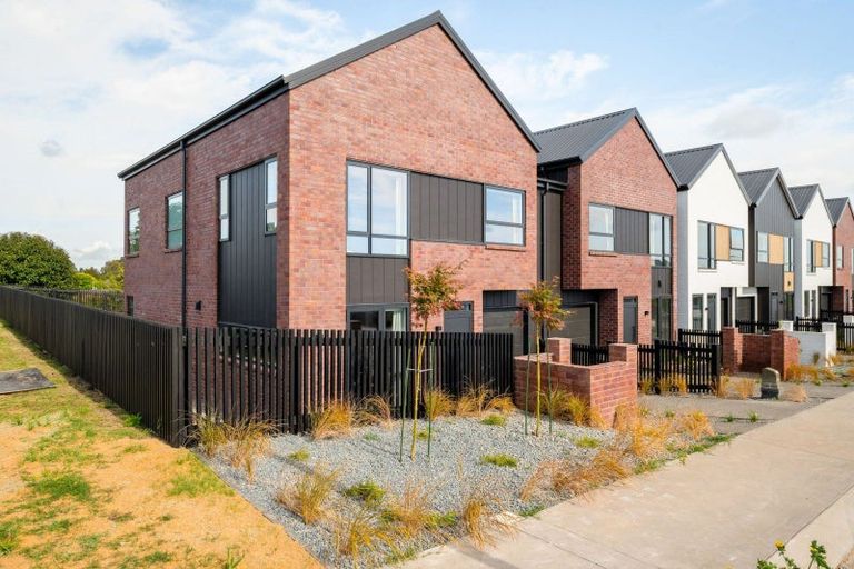 Photo of property in 51 Musselwhite Terrace, Chartwell, 3210