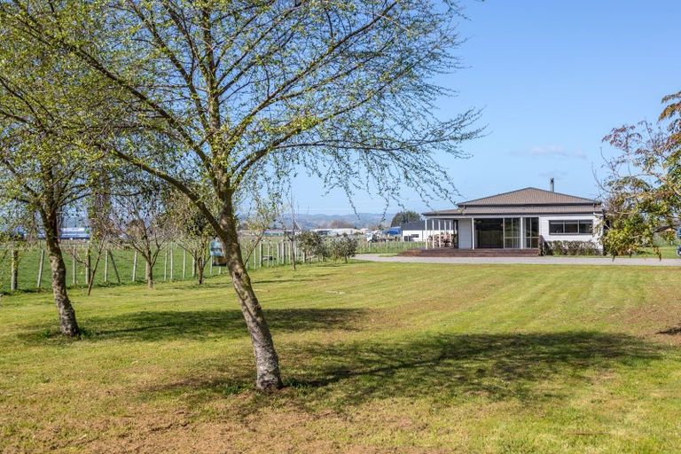 Photo of property in 53 Oak Street, Masterton, 5810