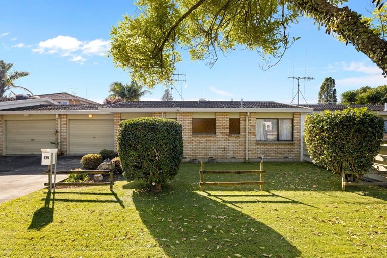 Photo of property in 125 Thirteenth Avenue, Tauranga South, Tauranga, 3112