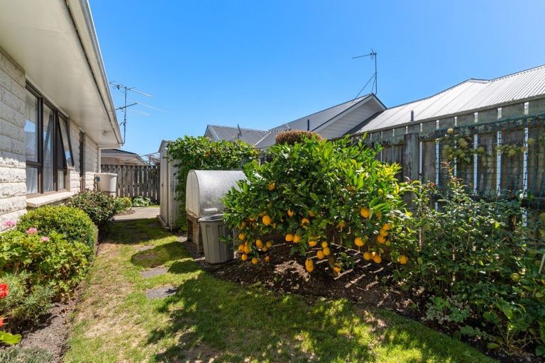 Photo of property in 28a Park Avenue, Masterton, 5810