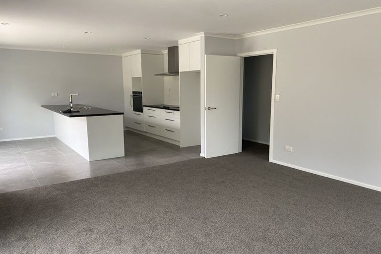 Photo of property in 99a Tuhikaramea Road, Dinsdale, Hamilton, 3204