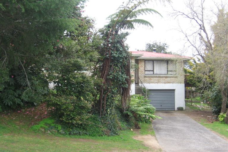 Photo of property in 11 Glenn Terrace, Otumoetai, Tauranga, 3110