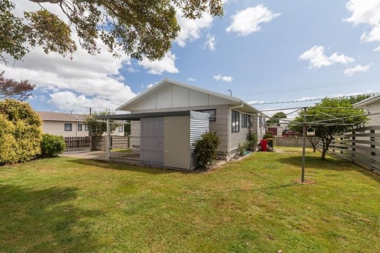 Photo of property in 9 Douglas Street, Levin, 5510