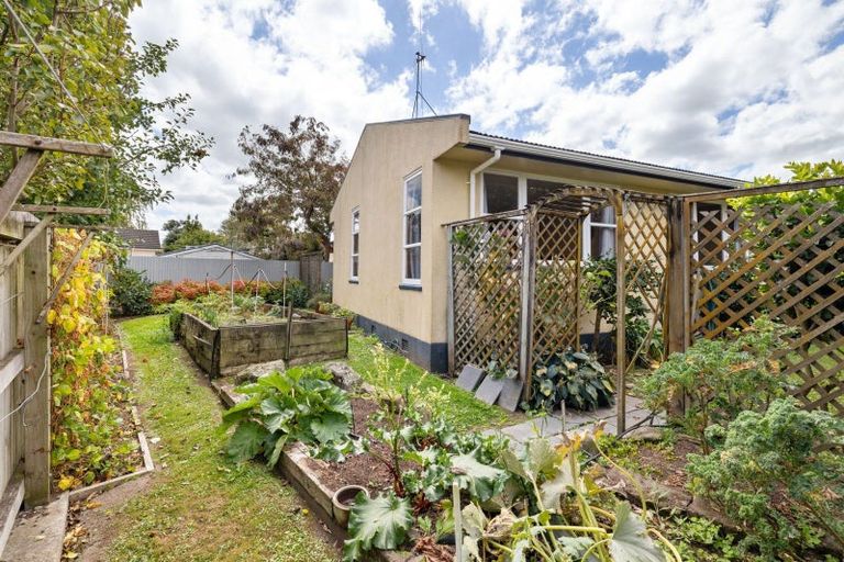 Photo of property in 23 Saint Albans Avenue, Hokowhitu, Palmerston North, 4410