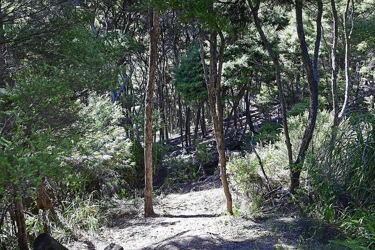 Photo of property in 6 Lavinia Place, Kawau Island, 0920