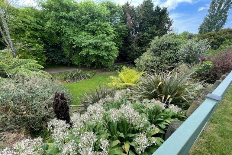 Photo of property in 16 Saunders Place, Te Puke, 3119