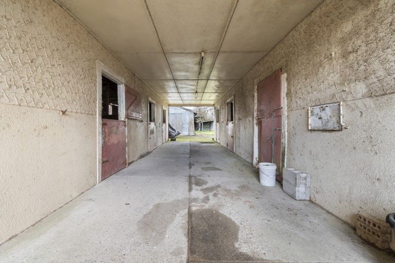 Photo of property in 201 Shirriffs Road, Awapuni, Palmerston North, 4412