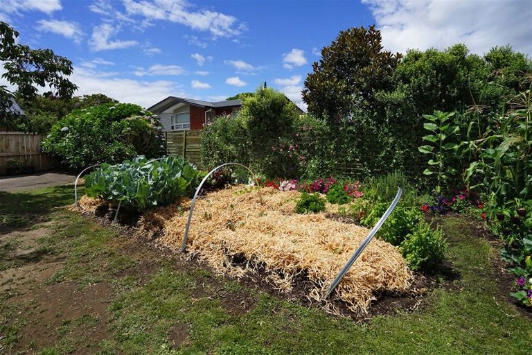 Photo of property in 47 Queenwood Avenue, Queenwood, Hamilton, 3210