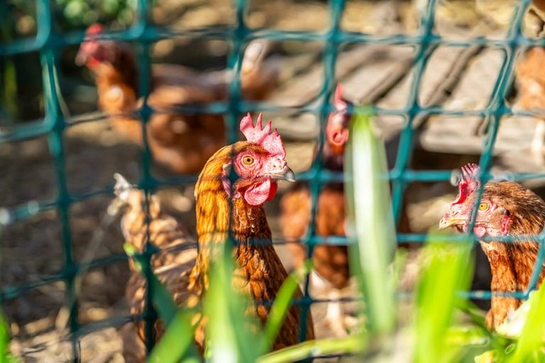 Photo of property in 23 Percy Kinsman Crescent, Riverstone Terraces, Upper Hutt, 5018