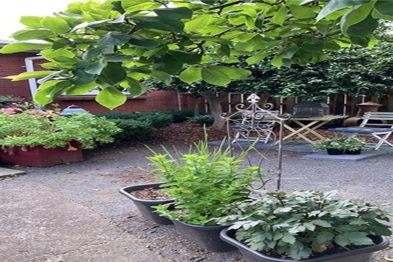 Photo of property in 43b Sillary Street, Hamilton East, Hamilton, 3216