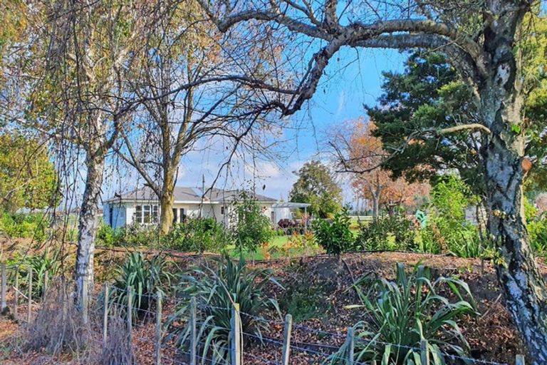 Photo of property in 62 Paki Paki Road, Longlands, Hastings, 4174