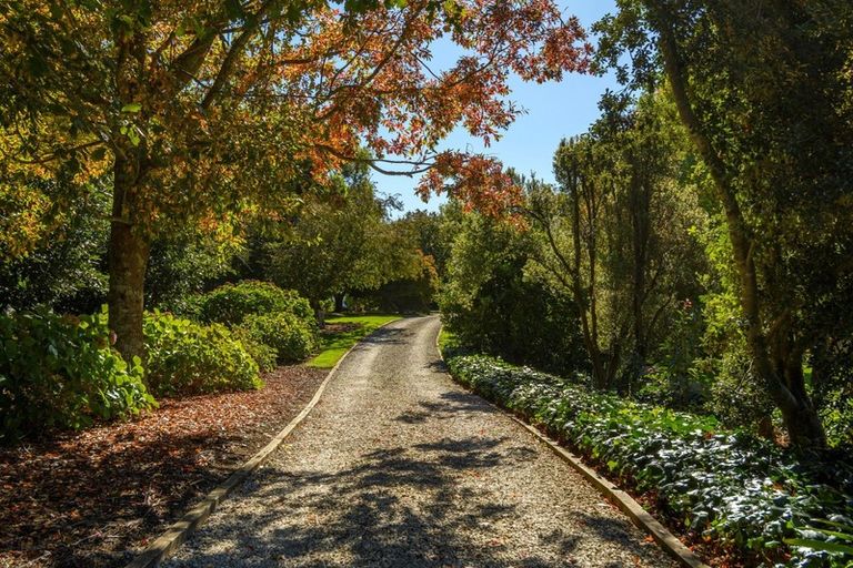 Photo of property in 59d Western Avenue, Omokoroa, 3114