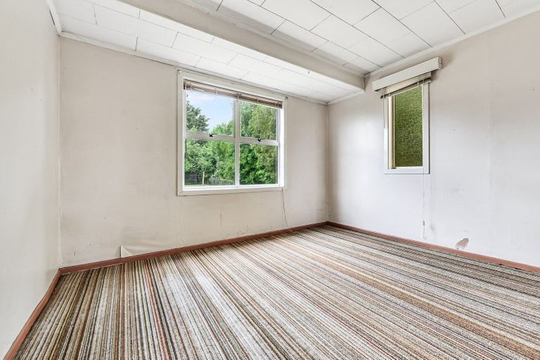 Photo of property in 19 Patricia Avenue, Hamilton East, Hamilton, 3216