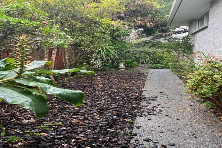 Photo of property in 8a Copeland Street, Hutt Central, Lower Hutt, 5011