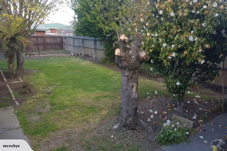 Photo of property in 32 Longmuir Street, Ilam, Christchurch, 8041