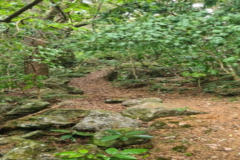 Photo of property in 729 Otaika Valley Road, Maungatapere, Whangarei, 0170