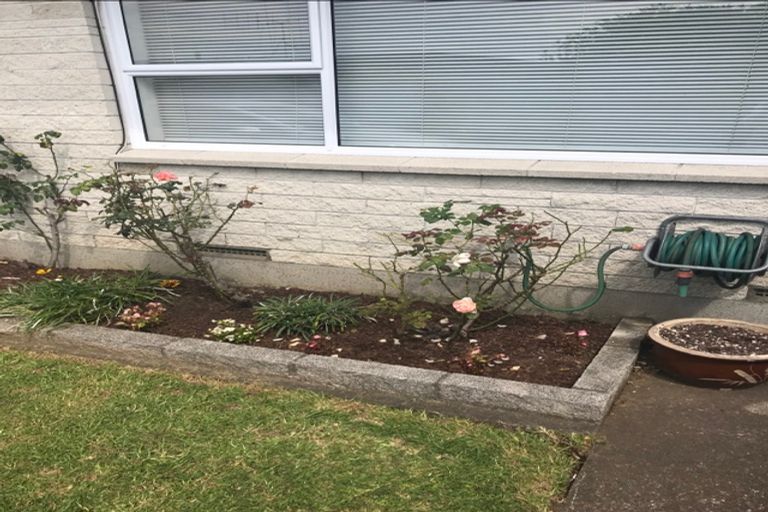 Photo of property in 466b Otumoetai Road, Otumoetai, Tauranga, 3110