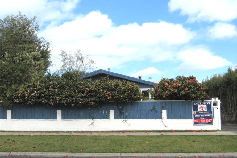 Photo of property in 53 Whakaipo Avenue, Taupo, 3330