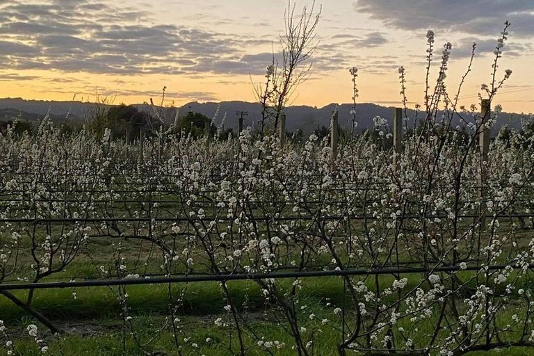 Photo of property in 17 Mccutchan Road, Otakiri, Whakatane, 3193