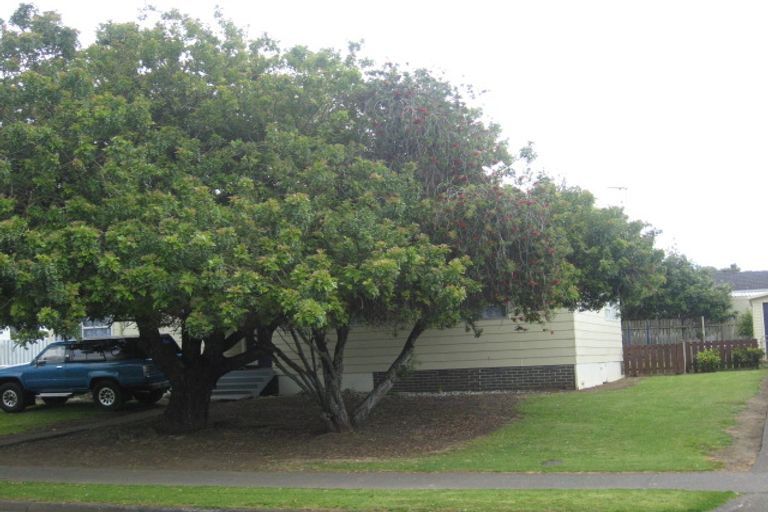 Photo of property in 163 Wordsworth Road, Manurewa, Auckland, 2102