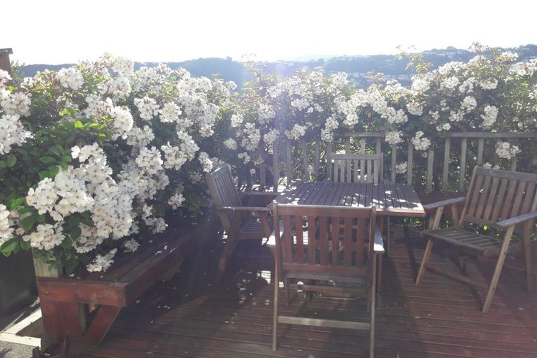 Photo of property in 290 Rintoul Street, Berhampore, Wellington, 6023