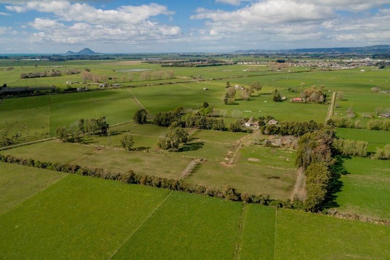 Photo of property in 97f Poplar Lane, Edgecumbe, Whakatane, 3192