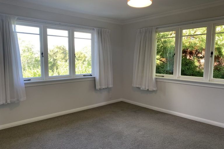 Photo of property in 66 Youngson Road, Whakamarama, Tauranga, 3180