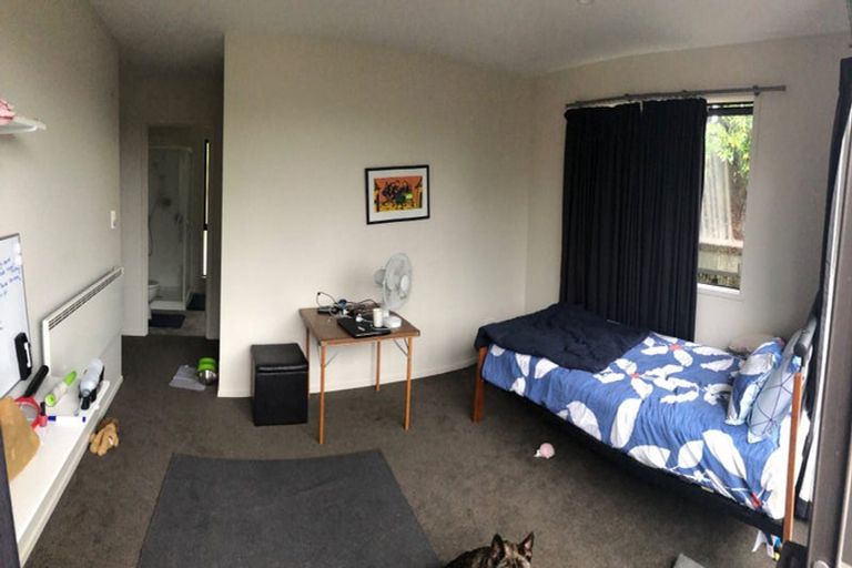 Photo of property in 29 Deverell Place, Northcross, Auckland, 0632