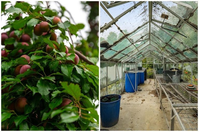 Photo of property in 22b Ngati Maru Sh25 Highway, Kopu, Thames, 3578