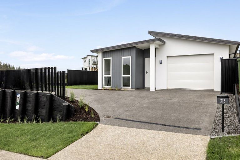 Photo of property in 313 Lakes Boulevard, Pyes Pa, Tauranga, 3112