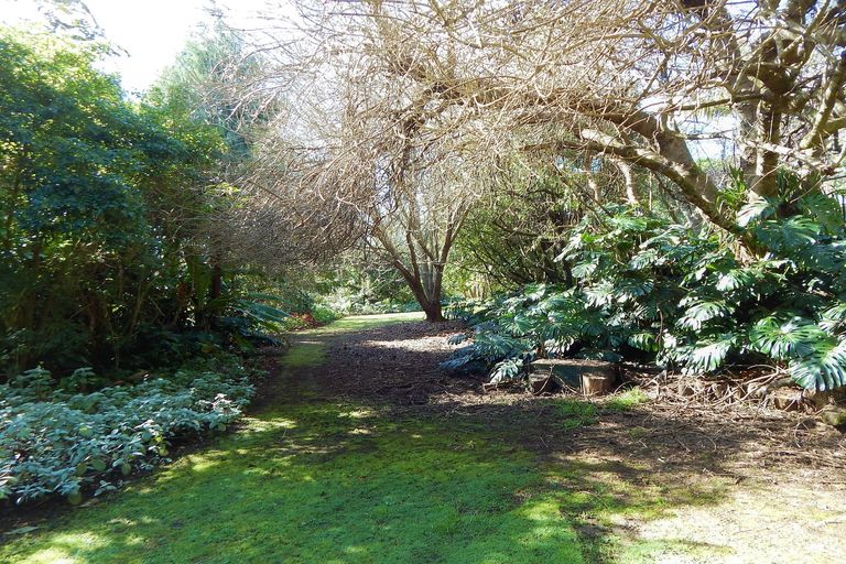 Photo of property in 12 Titoki Place, Kerikeri, 0294