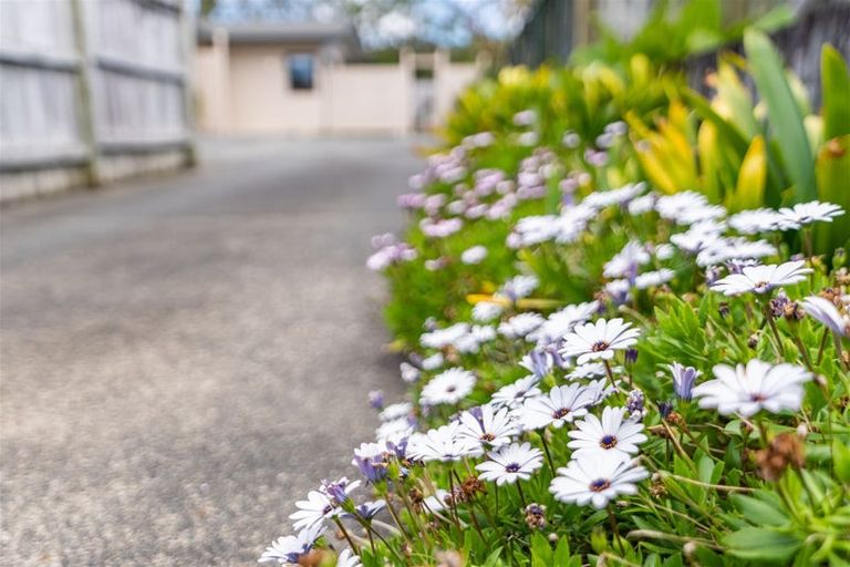 Photo of property in 51a King Street, Kensington, Whangarei, 0112