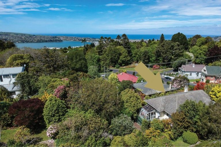 Photo of property in 41 Leven Street, Roslyn, Dunedin, 9010