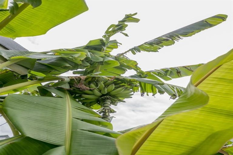 Photo of property in 15 The Avenue, Otaki Beach, Otaki, 5512