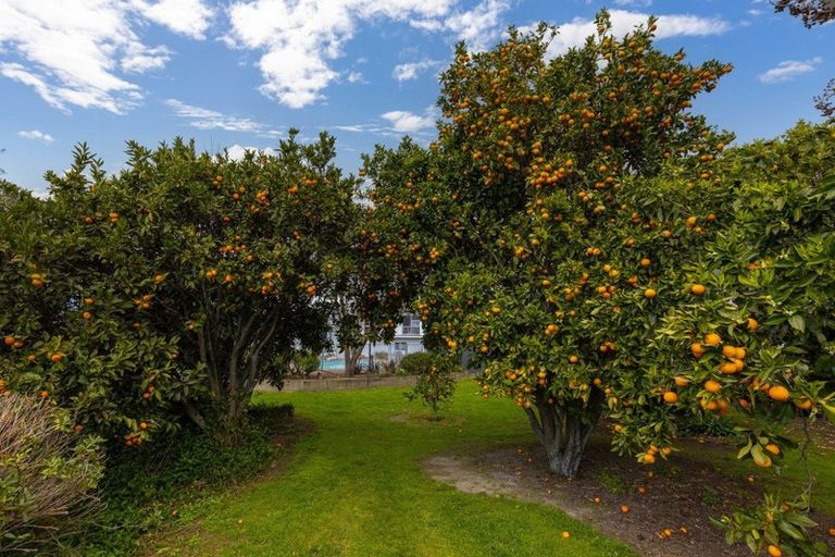 Photo of property in 51 Blicks Road, Renwick, 7204