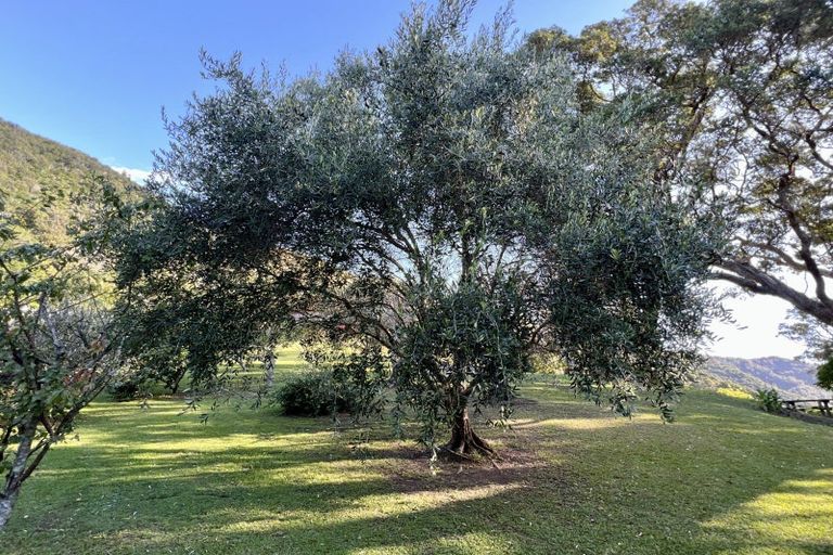 Photo of property in 8344d State Highway 35, Whanarua Bay, Te Kaha, 3199