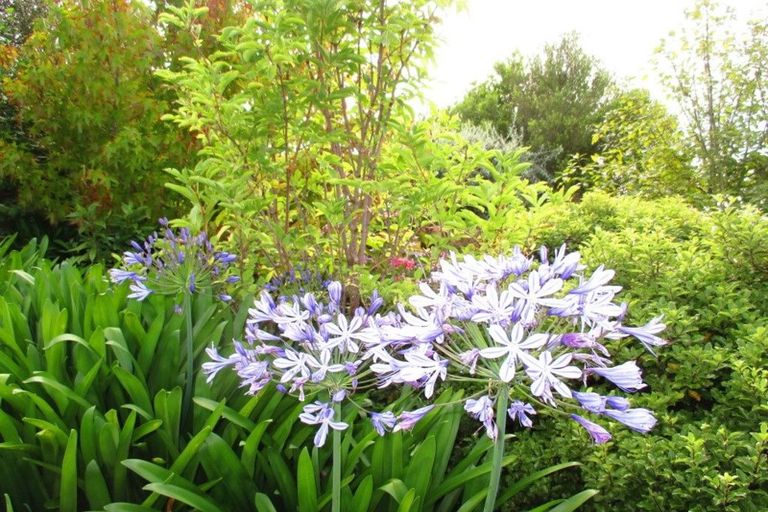 Photo of property in 77 Ribbonwood Road, Geraldine Downs, Geraldine, 7991