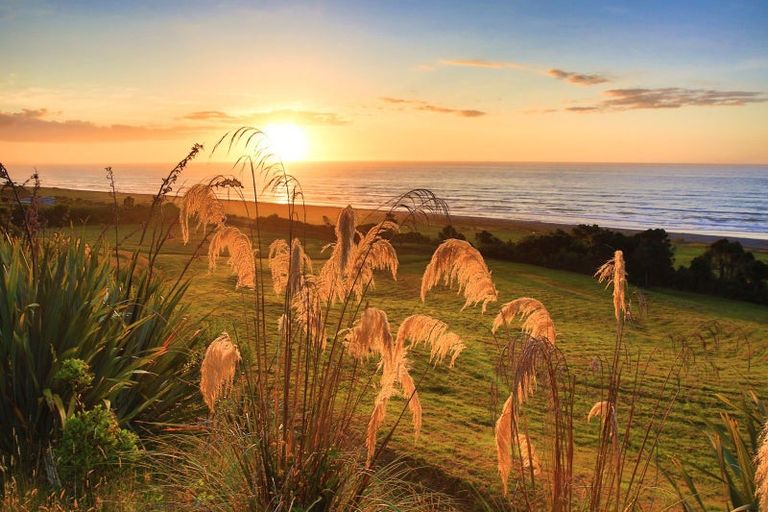 Photo of property in 672c State Highway 67, Mokihinui, Westport, 7891