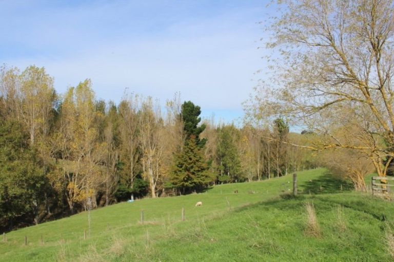 Photo of property in 175 Umutaoroa Road, Dannevirke, 4978