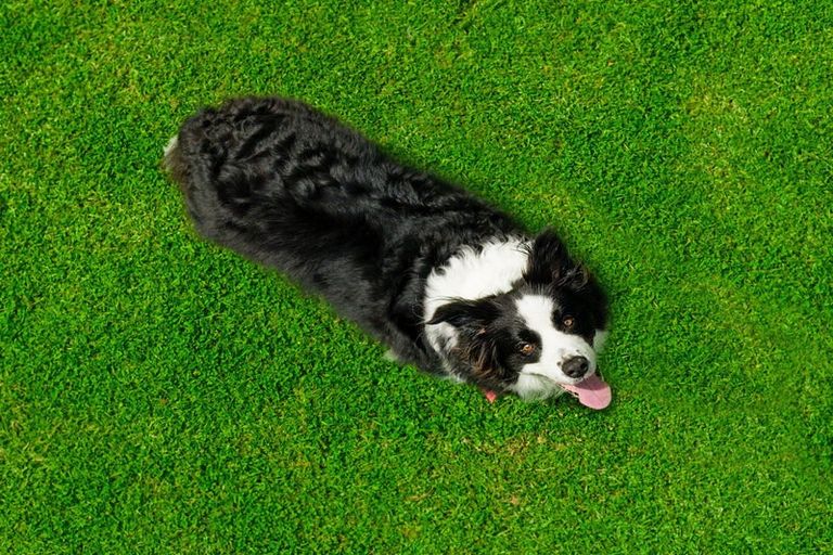 Photo of property in 158 Mcleod Road, South Head, Helensville, 0874