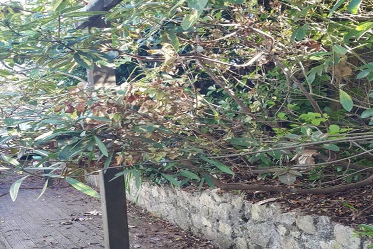 Photo of property in 9 Fowlers Avenue, Frankton, Hamilton, 3204