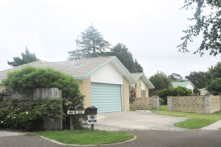 Photo of property in 18b Gisborne Road, Te Puke, 3119