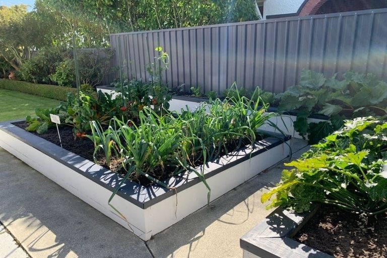 Photo of property in 37 Selwyn Street, Maori Hill, Timaru, 7910